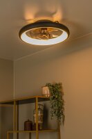 LED Deckenventilator Licht dimmbar Schwarz 2700-4000K