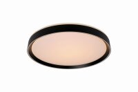 LED Deckenleuchte dimmbar blendarm Schwarz 2700K &Oslash;30 cm