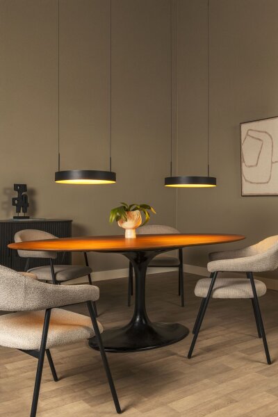 LED Pendelleuchte Alu Schwarz 2-flammig 2200-3000K