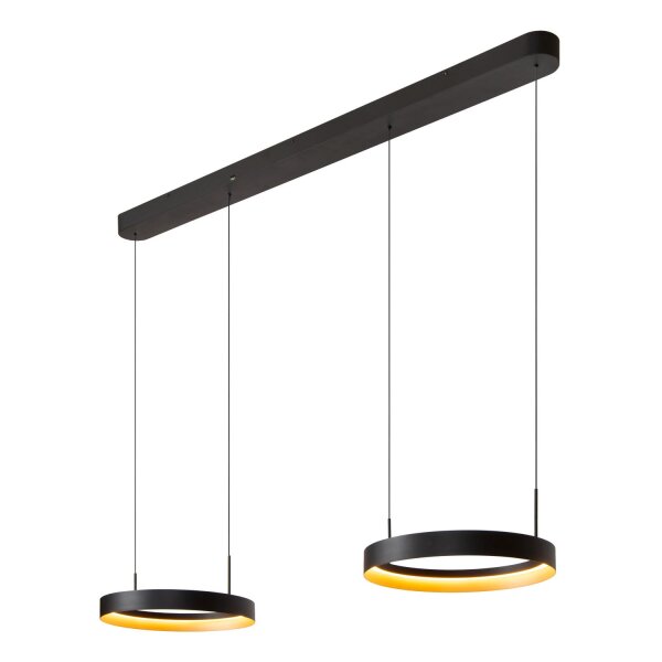 LED Pendelleuchte Alu Schwarz 2-flammig 2200-3000K