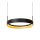 LED Pendelleuchte Alu Schwarz 2-flammig 2200-3000K