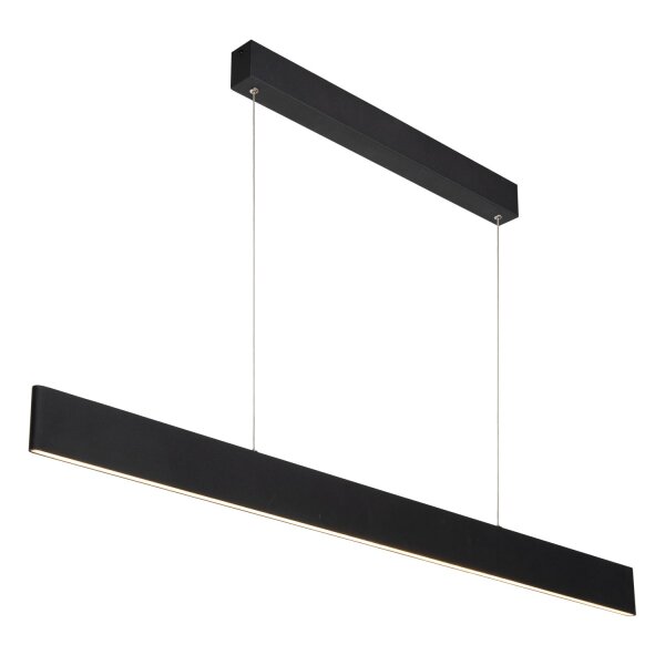 LED Hängelampe Up Down Metall Schwarz 2700K L:119 cm
