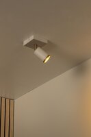 Deckenleuchte flexibel Aluminium Taupe GU10 B:10 cm