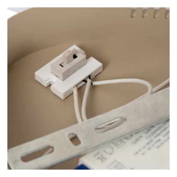 LED Deckenleuchte Taupe CCT 2700-4000K L:62 cm modern