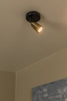 Deckenleuchte verstellbar Metall Champagner GU10