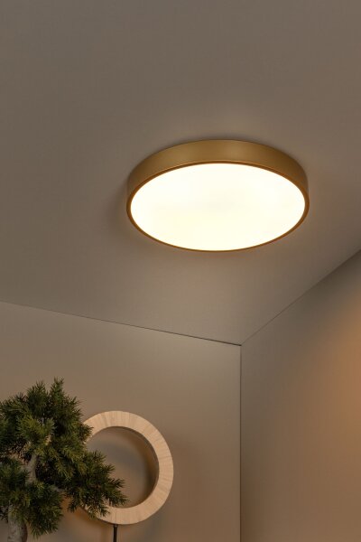 LED Deckenlampe dimmbar Messing 2700K Ø39,5 cm