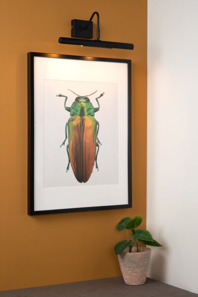 Bilderleuchte Schwarz 2-flammig G9 B:36 cm modern