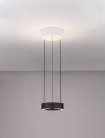 LED Hängeleuchte Weiß Schwarz Ø 20 cm...