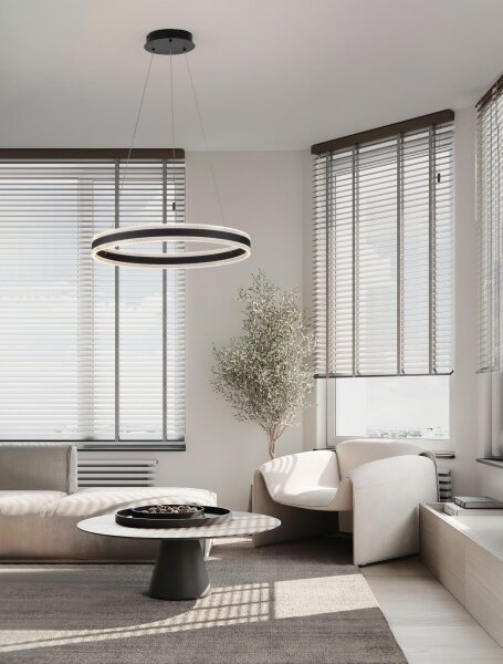 LED Pendelleuchte Ring Ø 60 cm Schwarz dimmbar warmweiß