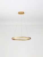 LED Pendelleuchte in Gold Ø 60 cm dimmbar Ring...