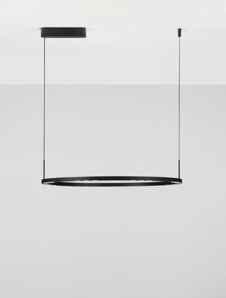 LED Hängelampe Schwarz Ø 80 cm dimmbar rund 8 flammig LAVON