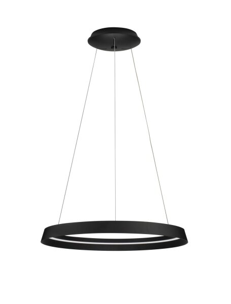 LED Hängelampe Ø 60 cm Schwarz dimmbar höhenverstellbar Ring