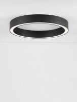 LED Deckenlampe 60 cm lang Schwarz dimmbar Ring...