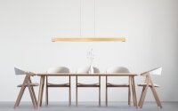 LED H&auml;ngelampe dimmbar 2200-3000K Gold L:160 cm matt