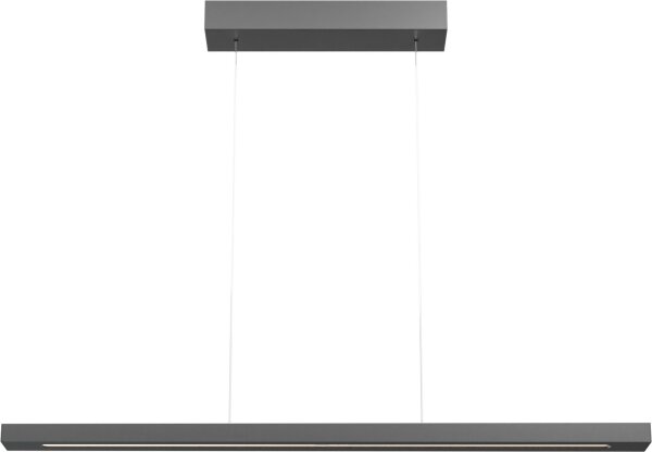LED Hängelampe dimmbar 2200-3000K Schwarz-Nickel 100 cm