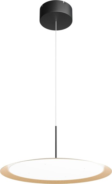 LED Hängelampe dimmbar 2200-2700K Schwarz Gold Ø45 cm