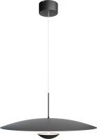 LED Pendelleuchte dimmbar 2200-2700K Schwarz Ø60 cm