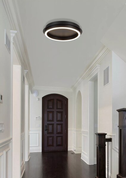 LED Deckenleuchte dimmbar 3000K Metall Schwarz Ø36 cm
