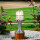 Premium Außenlampe Messing Glas IP54 Garten Weg